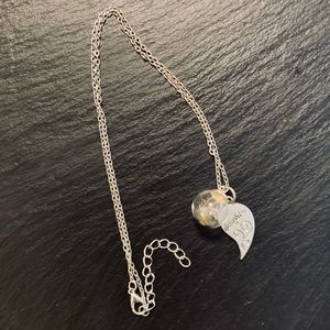 Dandelion Seed Daughter Wing Piece Wish 20” Silver Tone Necklace